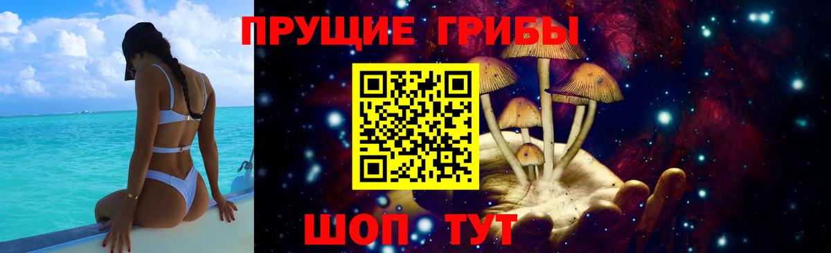 Галлюциногенные грибы GOLDEN TEACHER  Вход с VPN  Псилоцибиновые грибы Cubensis  Ставрополь 